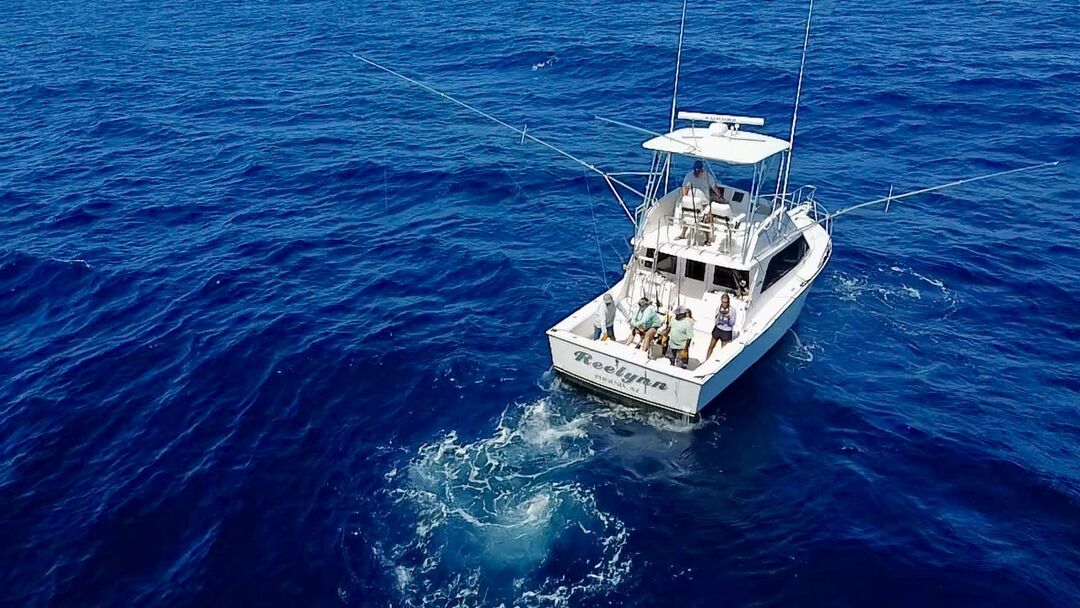 Image for team REELYNN at the 2024 Bisbee's Los Cabos Offshore